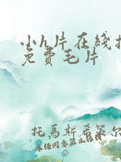 小h片在线播放免费毛片