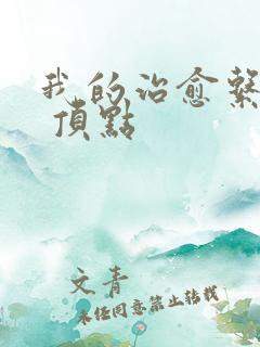 我的治愈系游戏 顶点