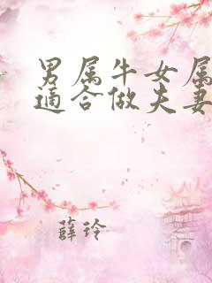 男属牛女属羊的适合做夫妻吗