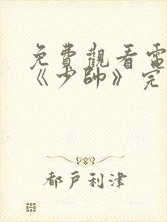 免费观看电视剧《少帅》完整版