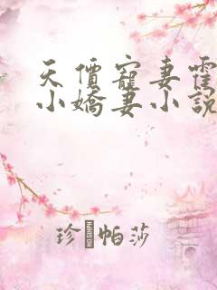 天价宠妻霍总的小娇妻小说免费观看