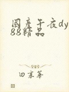国产午夜dy888精品
