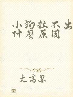 小狗拉不出屎是什么原因