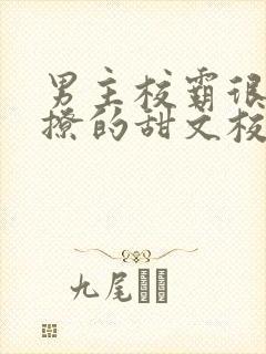 男主校霸很痞很撩的甜文校园