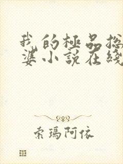 我的极品总裁老婆小说在线阅读