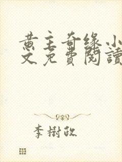 黄主奇缘小说全文免费阅读