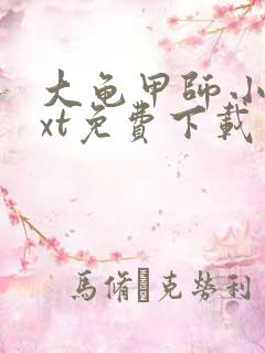 大龟甲师小说txt免费下载