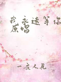 我永远等你歌曲原唱