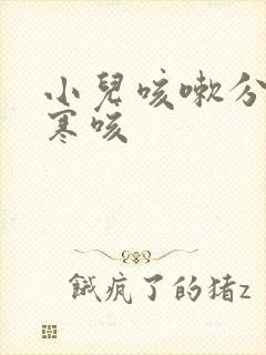 小儿咳嗽分热咳寒咳