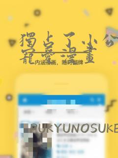 独占了小公主的宠爱漫画