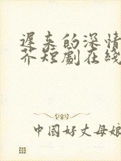 迟来的深情如草芥短剧在线观看