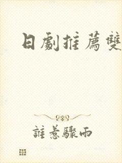 日剧推荐双男主