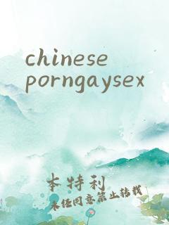 chineseporngaysex