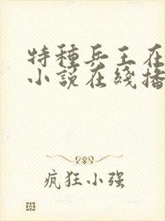 特种兵王在都市小说在线播放