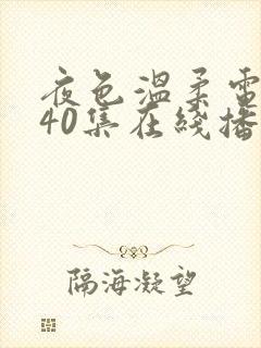 夜色温柔电视剧40集在线播放免费观看