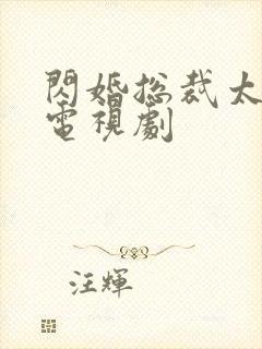 闪婚总裁太霸道电视剧