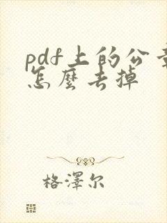 pdf上的公章怎么去掉