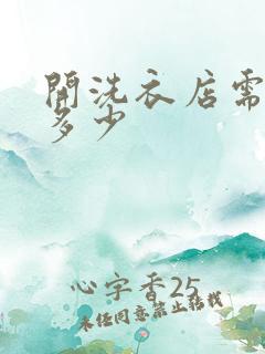 开洗衣店需投资多少