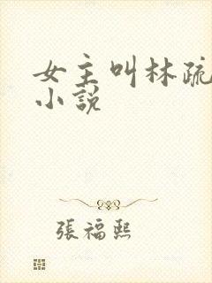 女主叫林疏月的小说