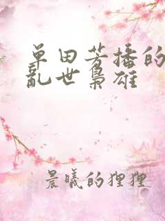 单田芳播的评书乱世枭雄