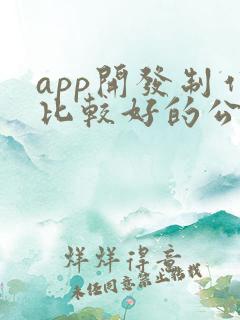 app开发制作比较好的公司
