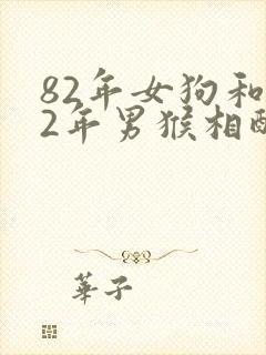 82年女狗和92年男猴相配婚姻如何