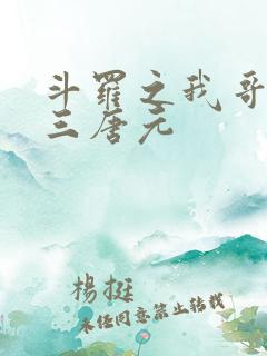 斗罗之我哥是唐三唐元