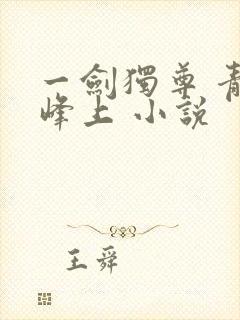 一剑独尊 青鸾峰上 小说