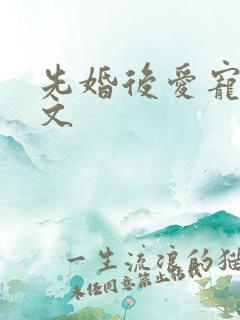 先婚后爱宠文甜文