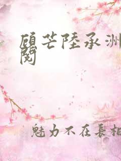 顾芒陆承洲全文阅