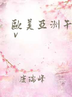 欧美亚洲午夜a v