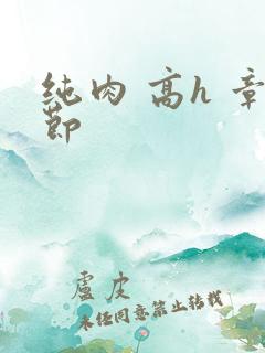 纯肉 高h 章节