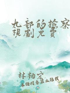 九部的检察官电视剧免费
