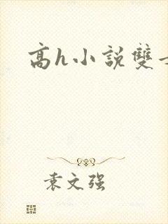 高h小说双女主