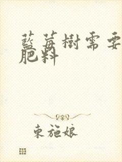 蓝莓树需要什么肥料