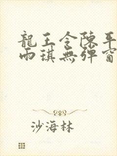 龙王令陈平/苏雨琪无弹窗