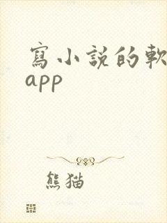 写小说的软件 app