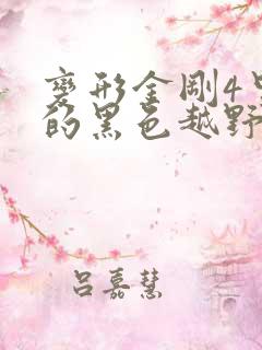 变形金刚4里面的黑色越野车