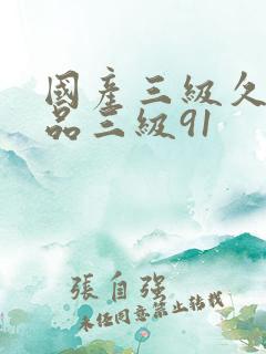 国产三级久久精品三级91