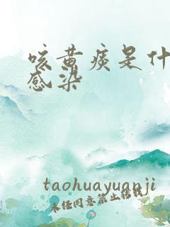 咳黄痰是什么菌感染