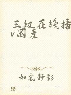 三级在线播放av国产