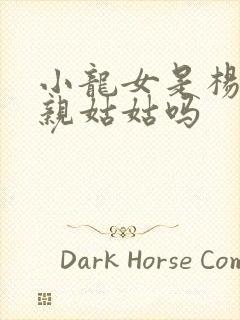 小龙女是杨过的亲姑姑吗