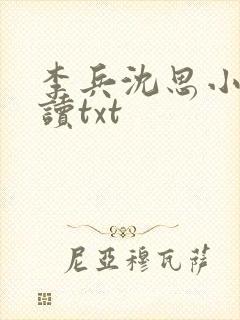 李兵沈思小说阅读txt
