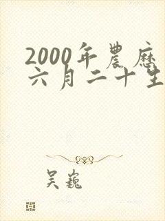2000年农历六月二十生辰八字