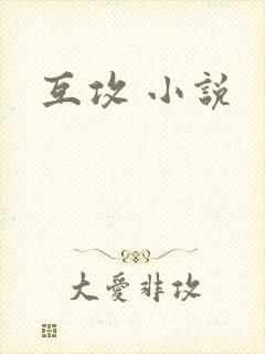 互攻 小说