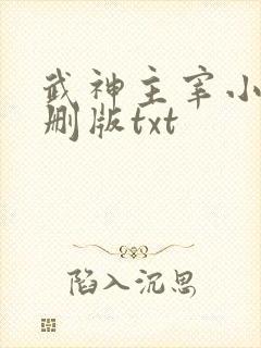 武神主宰小说未删版txt