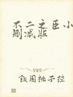 不二之臣小说未删减版