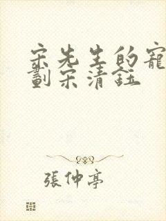 宋先生的宠妻计划宋清钰