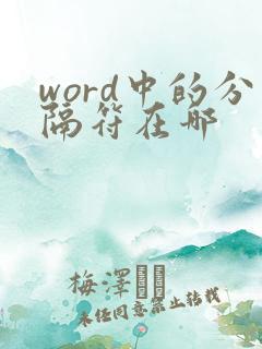 word中的分隔符在哪