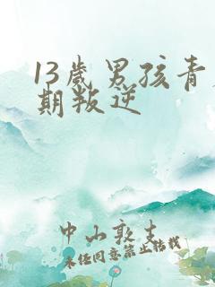 13岁男孩青春期叛逆